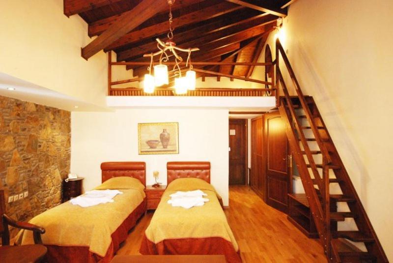 Vasilitsa Spa Resort Grevena Rom bilde