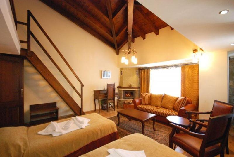 Vasilitsa Spa Resort Grevena Rom bilde