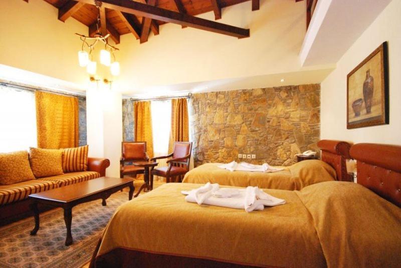 Vasilitsa Spa Resort Grevena Rom bilde