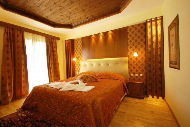 Vasilitsa Spa Resort Grevena Rom bilde