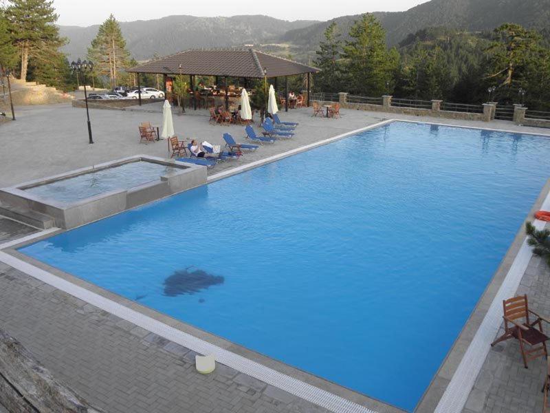 Vasilitsa Spa Resort Grevena Eksteriør bilde